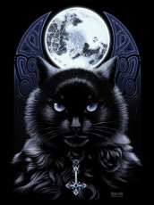 画像3: The Bewitching Hour Black Tote Bag / エコバッグ【GRINDSTORE】 (3)