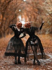 画像4: Retro Lace Petticoat / スカート【DARK IN LOVE】 (4)