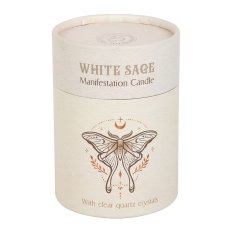 画像5: Luna Moth Manifestation Candle / 蓋付きアロマキャンドル【GOTHIC HOMEWARE】 (5)