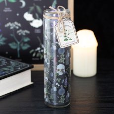 画像1: Poisonous Plants Deadly Nightshade / アロマキャンドル【GOTHIC HOMEWARE】 (1)