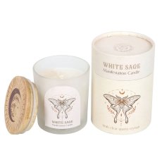 画像2: Luna Moth Manifestation Candle / 蓋付きアロマキャンドル【GOTHIC HOMEWARE】 (2)