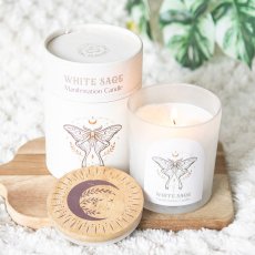 画像1: Luna Moth Manifestation Candle / 蓋付きアロマキャンドル【GOTHIC HOMEWARE】 (1)