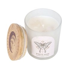 画像3: Luna Moth Manifestation Candle / 蓋付きアロマキャンドル【GOTHIC HOMEWARE】 (3)