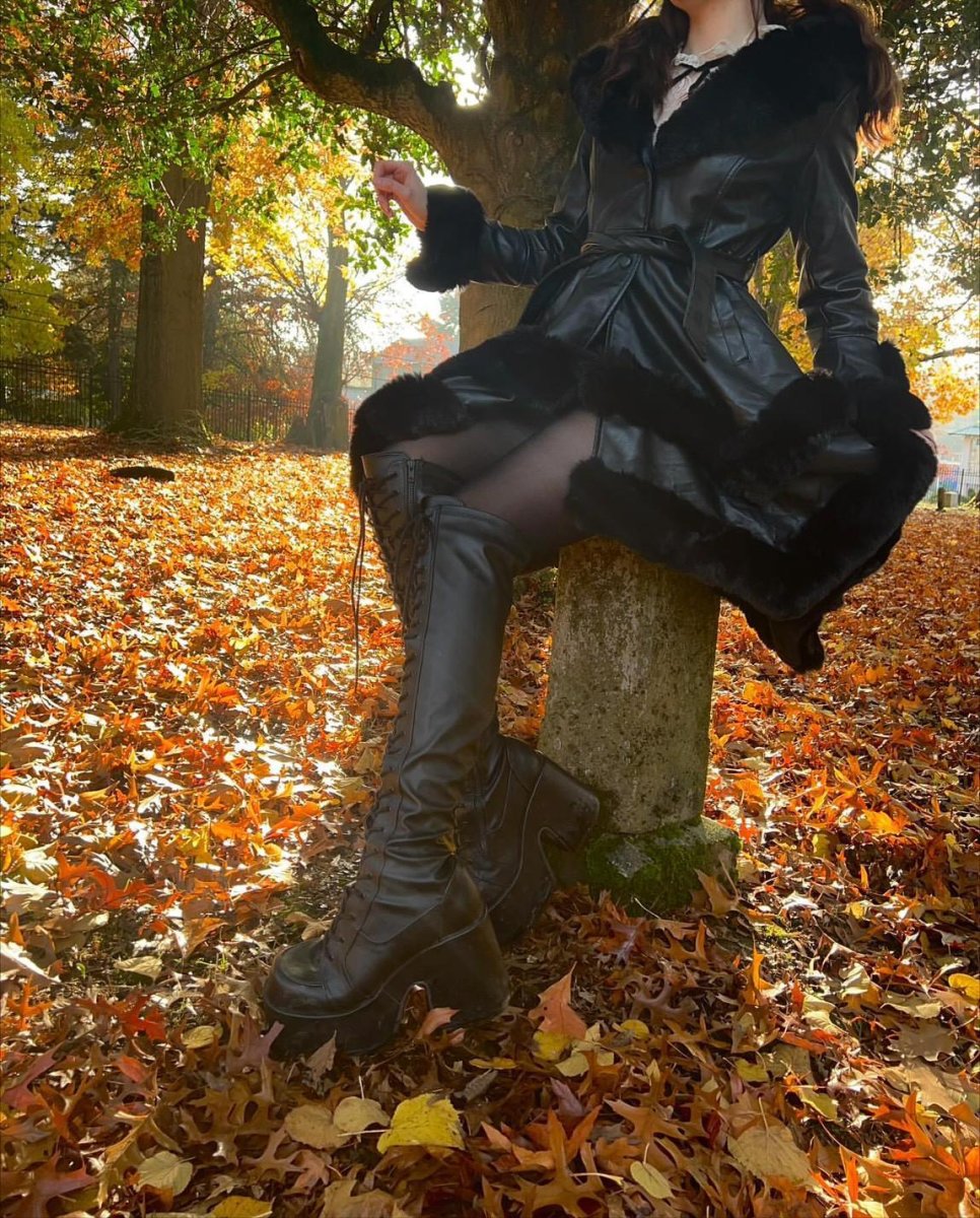 画像25: [取り寄せ]CAMEL-300 / PUレザー / ニーハイブーツ【DEMONIA】 (25)