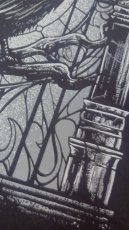 画像4: Cathedral Crow Hoodie / カラスと大聖堂  / パーカー【VampireFreaks】 (4)