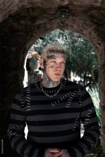 画像14: Autopsy Stitch Striped Sweater / 薄手ニット【VampireFreaks】 (14)