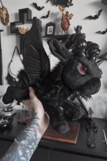 画像1: Draco / 小竜ドラコ / ぬいぐるみ【KILL STAR】 (1)