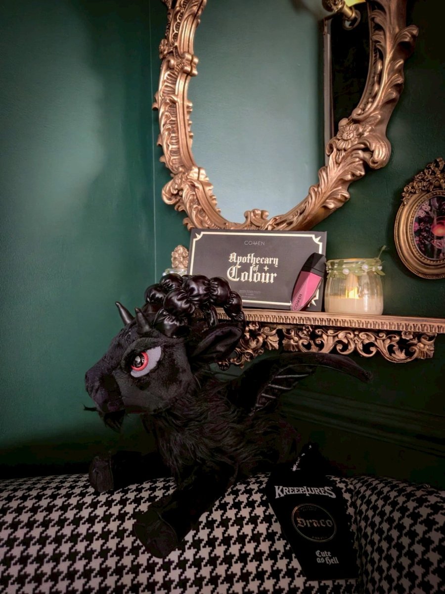 画像6: Draco / 小竜ドラコ / ぬいぐるみ【KILL STAR】 (6)