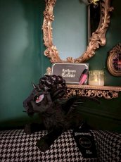 画像6: Draco / 小竜ドラコ / ぬいぐるみ【KILL STAR】 (6)