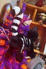 画像26: Skelekitty Purse / ぬいぐるみバッグ【VampireFreaks】 (26)