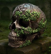 画像1: Aged Pentagram Skull / オーナメント【NEMESIS NOW】 (1)