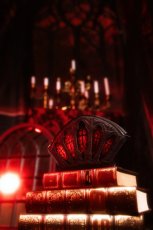 画像5: BLOODVEIL WALLET / 財布【Restyle】 (5)