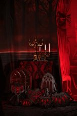 画像19: BLOODVEIL BACKPACK / バックパック【Restyle】 (19)