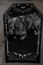 画像4: RIP Coffin Rug / ラグマット【VampireFreaks】 (4)