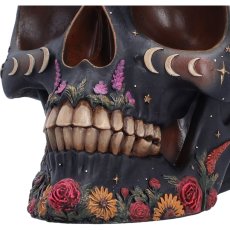 画像6: Spirit Board Bloom Skull 14.8cm / スピリットボードと花 / オーナメント【NEMESIS NOW】 (6)