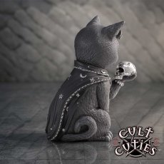 画像2: Feligor 10.2cm / 魔女猫フェリゴール / オーナメント【NEMESIS NOW】 (2)