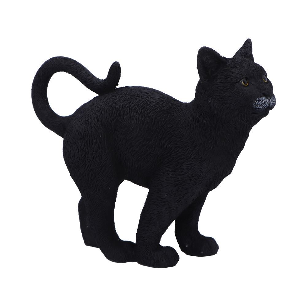 Moonlight Watcher 15cm / cat / オーナメント【NEMESIS NOW Moonlight Watcher 15cm / cat / オーナメント【NEMESIS NOW
